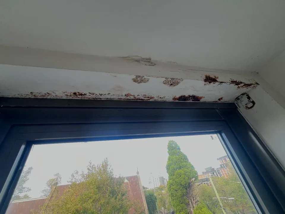 Window head with rust breaking through and paint flaking off in scabs along the lintel, above a blue frame